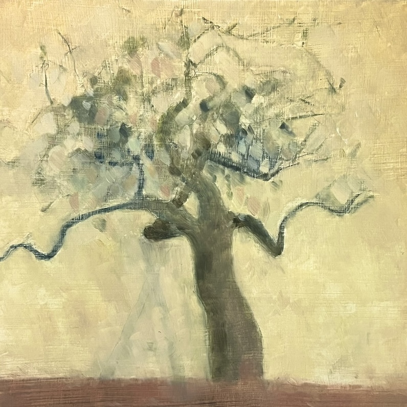Apple Tree 26